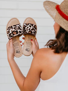 Rollasole Catwalk